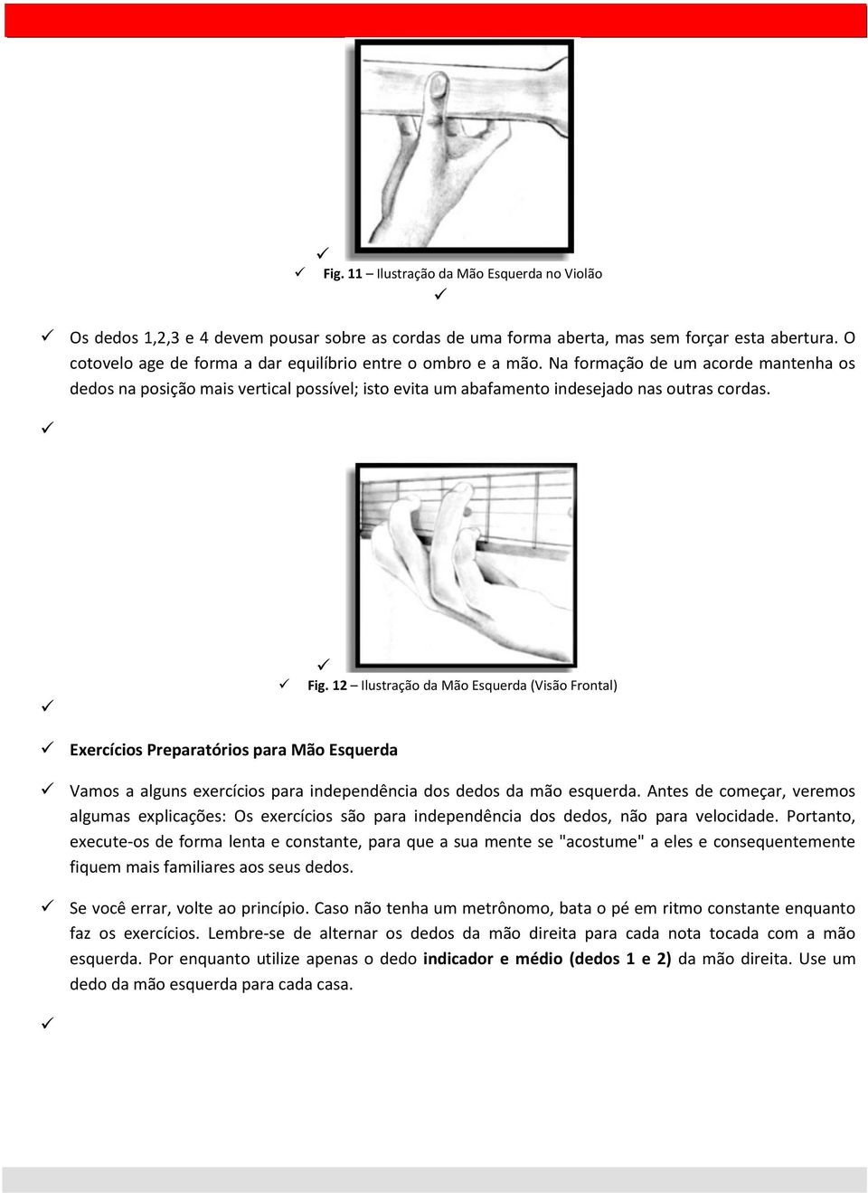 Fig. 12 Ilustração da Mão Esquerda (Visão Frontal) Exercícios Preparatórios para Mão Esquerda Vamos a alguns exercícios para independência dos dedos da mão esquerda.