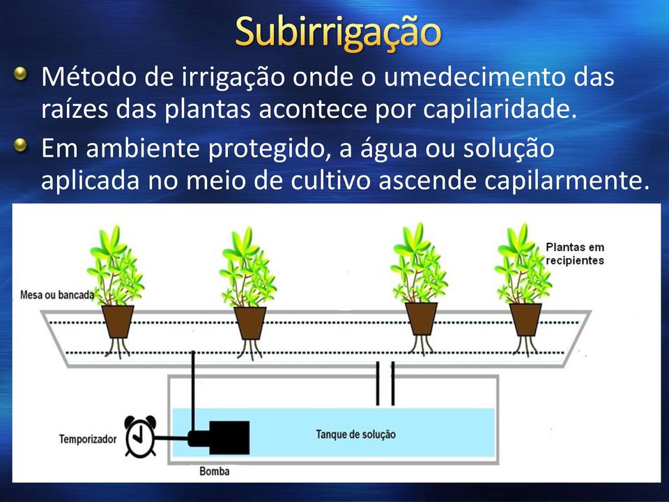 Em ambiente protegido, a água ou solução