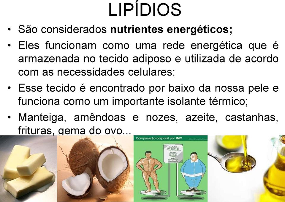 necessidades celulares; Esse tecido é encontrado por baixo da nossa pele e funciona