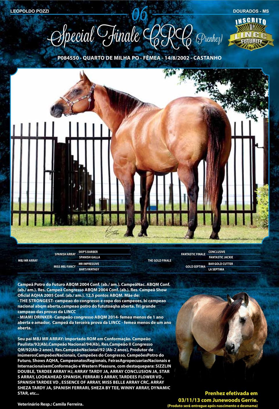 (ab./ am.). Res. Campeã Congresso ABQM 2004 Conf. (ab.). Res. Campeã Show O cial AQHA 2005 Conf. (ab./ am.). 12,5 pontos ABQM.