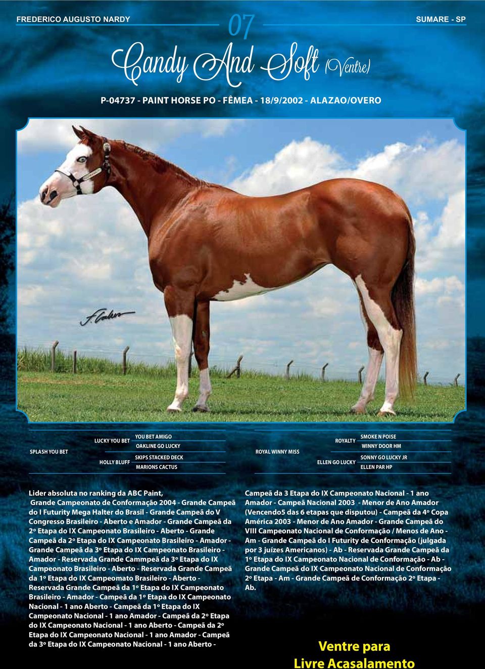 Conformação 2004 - Grande Campeã do I Futurity Mega Halter do Brasil - Grande Campeã do V Congresso Brasileiro - Aberto e Amador - Grande Campeã da 2º Etapa do IX Campeonato Brasileiro - Aberto -