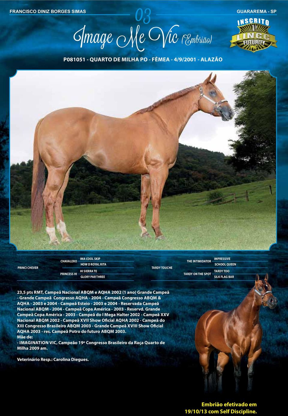 Campeã Congresso AQHA - 2004 - Campeã Congresso ABQM & AQHA - 2003 e 2004 - Campeã Esteio - 2003 e 2004 - Reservada Campeã Nacional ABQM - 2004 - Campeã Copa América - 2003 - Reservd.