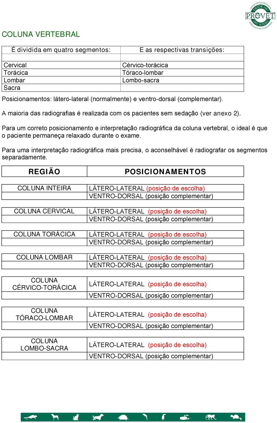 Para um correto posicionamento e interpretação radiográfica da coluna vertebral, o ideal é que o paciente permaneça relaxado durante o exame.