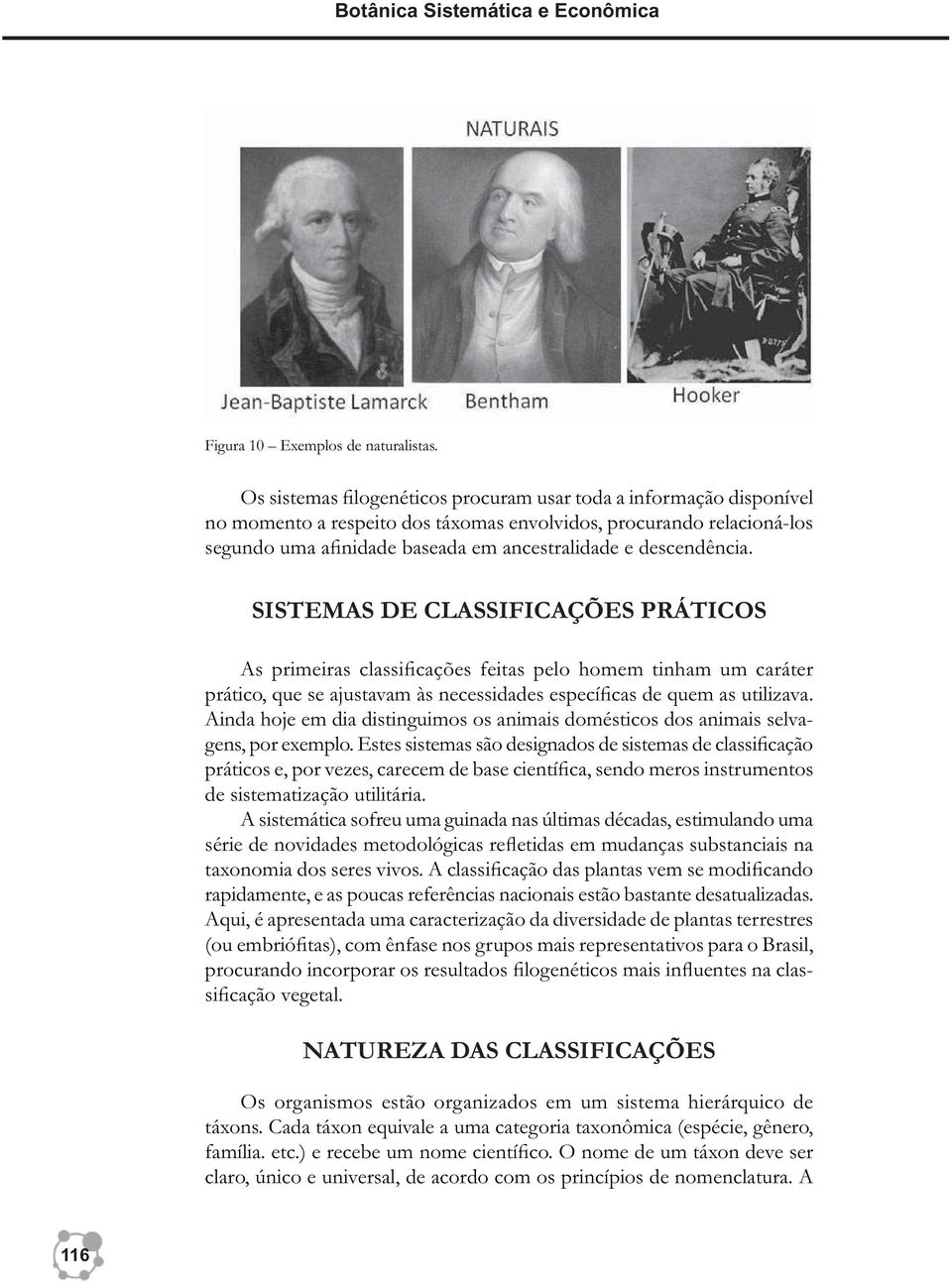 descendência. SISTEMAS DE CLASSIFICAÇÕES PRÁTICOS As primeiras classificações feitas pelo homem tinham um caráter prático, que se ajustavam às necessidades específicas de quem as utilizava.