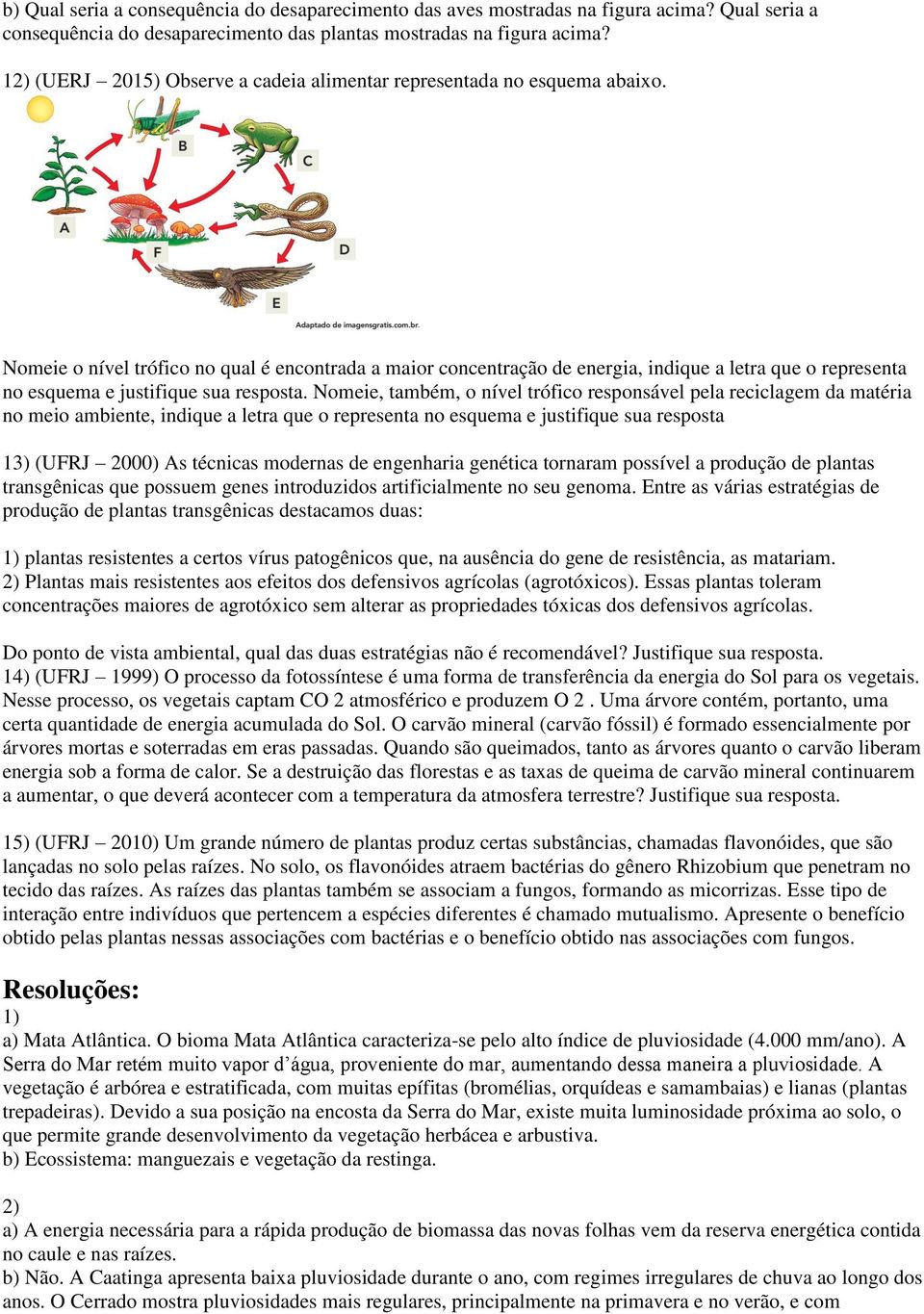 Nomeie o nível trófico no qual é encontrada a maior concentração de energia, indique a letra que o representa no esquema e justifique sua resposta.