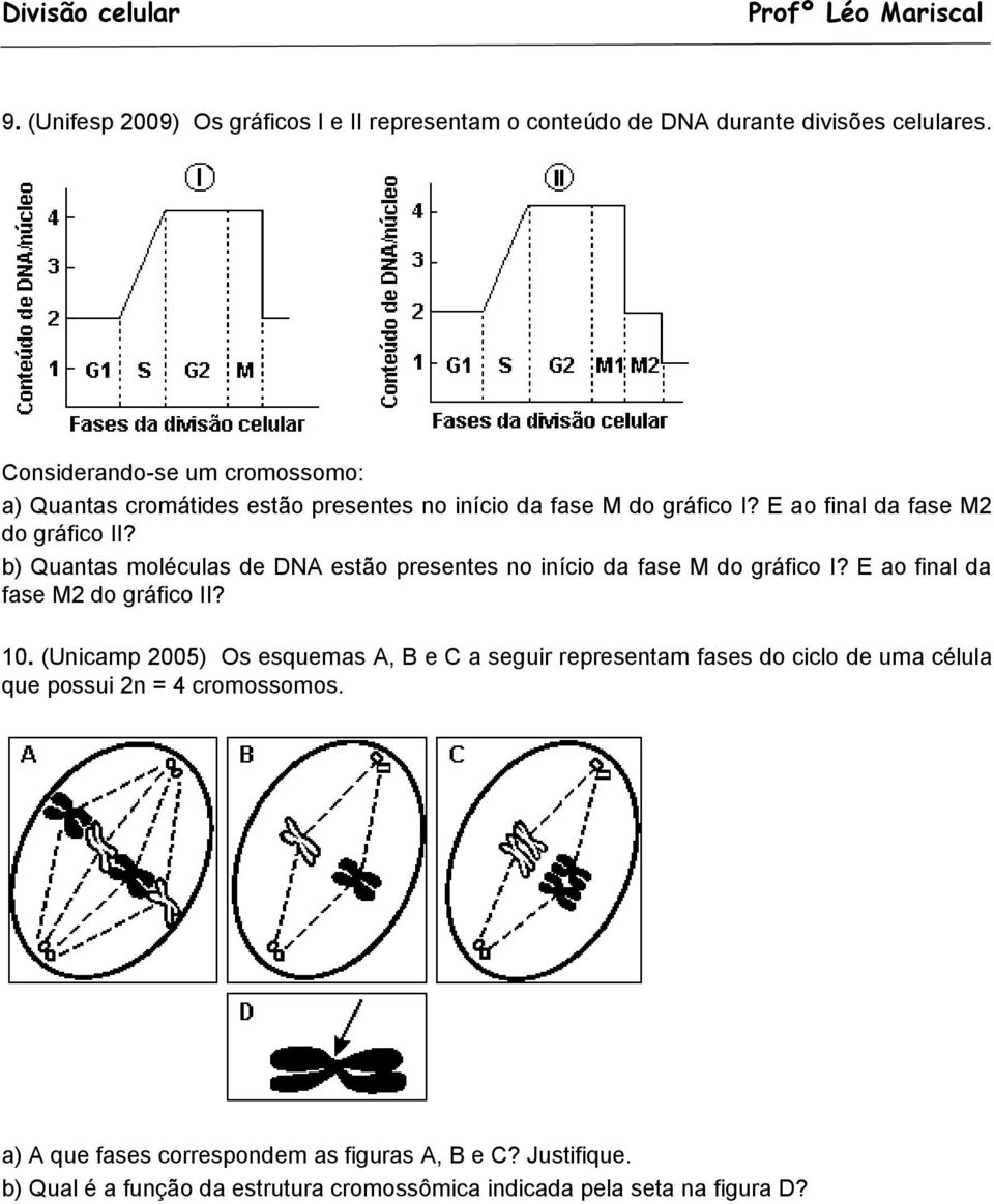 b) Quantas moléculas de DNA estão presentes no início da fase M do gráfico I? E ao final da fase M2 do gráfico II? 10.