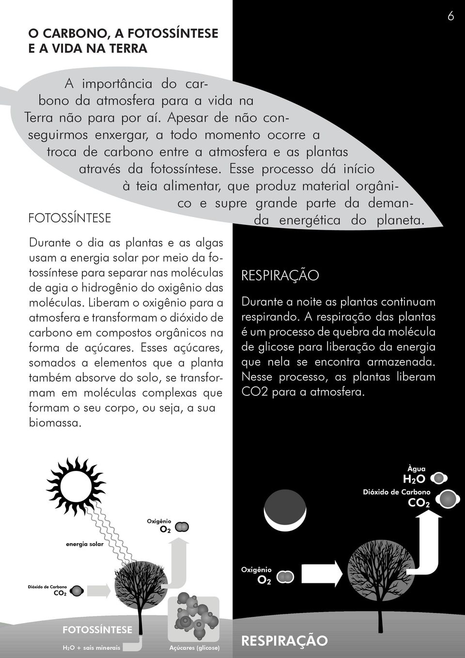 Esse processo dá início à teia alimentar, que produz material orgânico e supre grande parte da demanda energética do FOTOSSÍNTESE planeta.