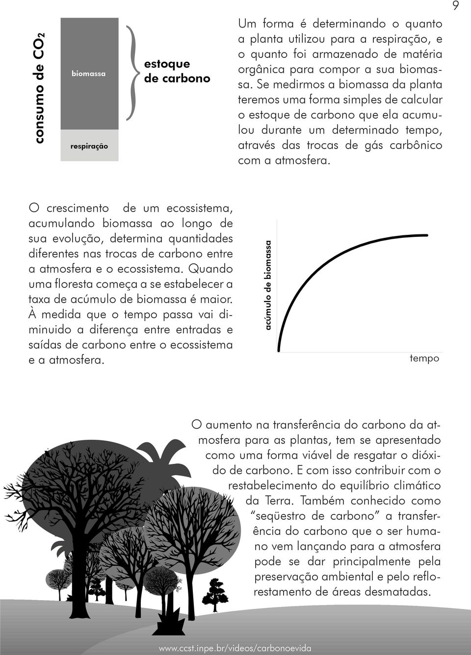 9 O crescimento de um ecossistema, acumulando biomassa ao longo de sua evolução, determina quantidades diferentes nas trocas de carbono entre a atmosfera e o ecossistema.