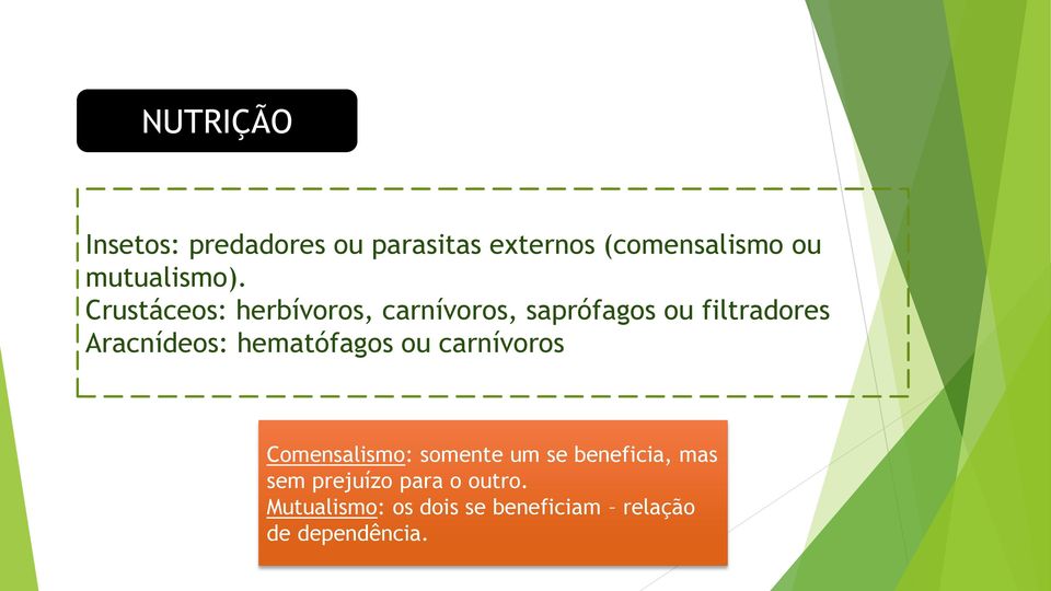 Crustáceos: herbívoros, carnívoros, saprófagos ou filtradores Aracnídeos: