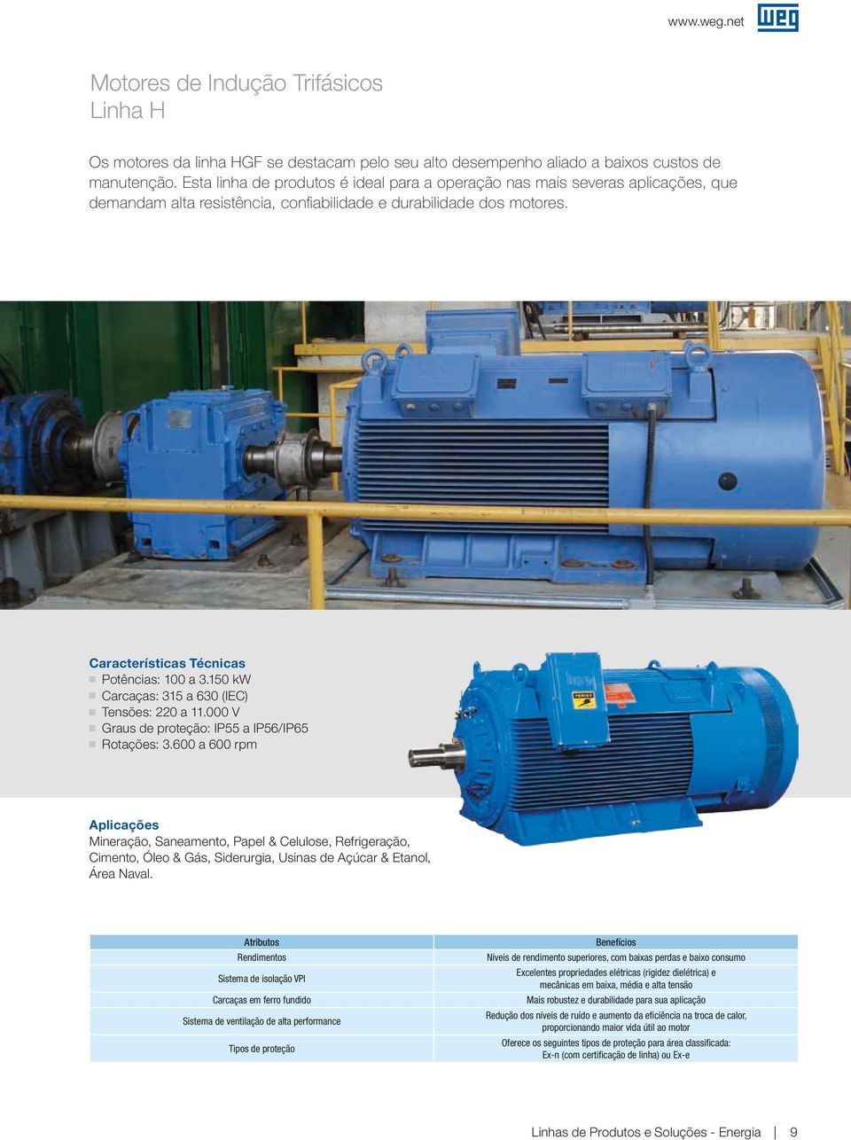 150 kw Carcaças: 315 a 630 (IEC) Tensões: 220 a 11.000 V Graus de proteção: IP55 a IP56/IP65 Rotações: 3.