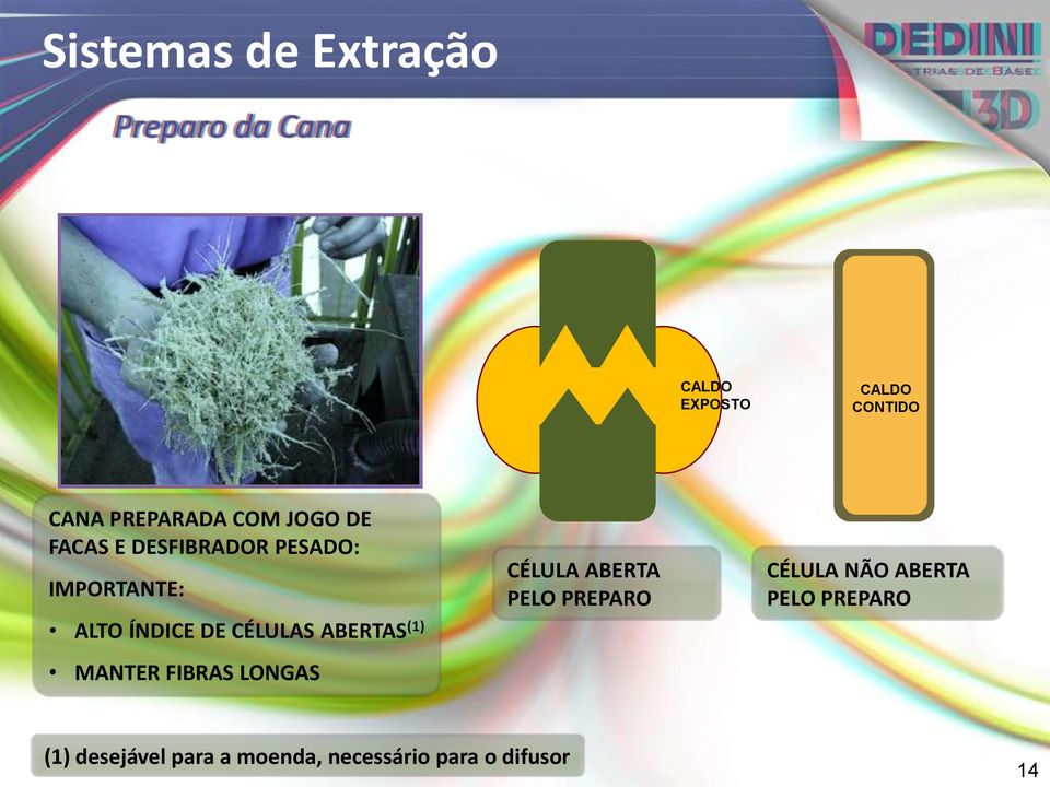 DE CÉLULAS ABERTAS (1) MANTER FIBRAS LONGAS CÉLULA ABERTA PELO PREPARO