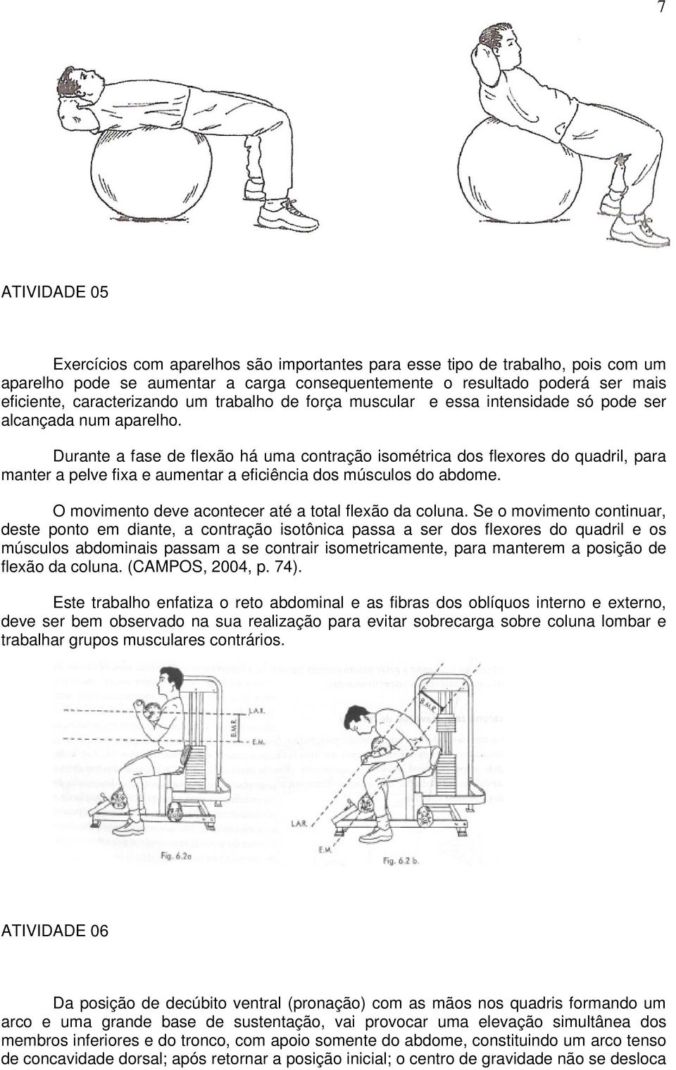 Durante a fase de flexão há uma contração isométrica dos flexores do quadril, para manter a pelve fixa e aumentar a eficiência dos músculos do abdome.