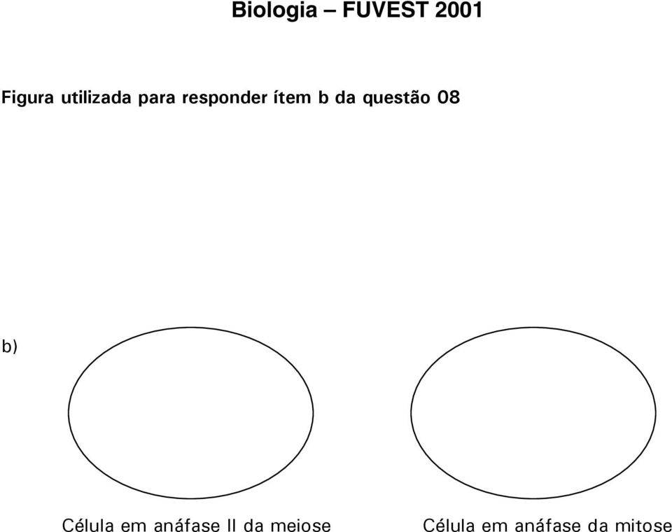 08 b) Célula em anáfase II