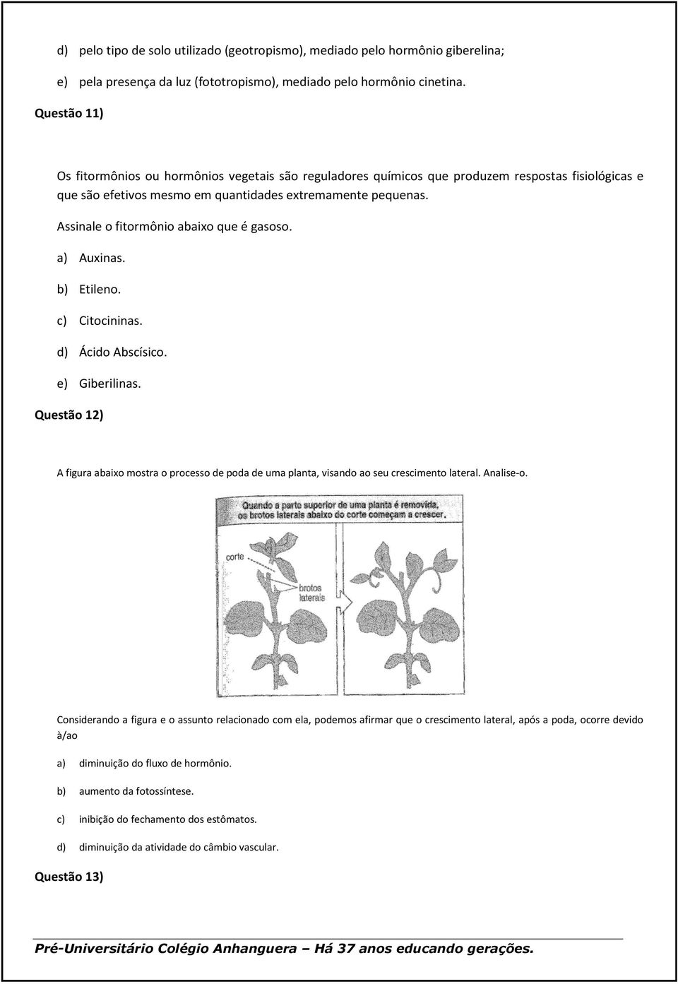 Assinale o fitormônio abaixo que é gasoso. a) Auxinas. b) Etileno. c) Citocininas. d) Ácido Abscísico. e) Giberilinas.