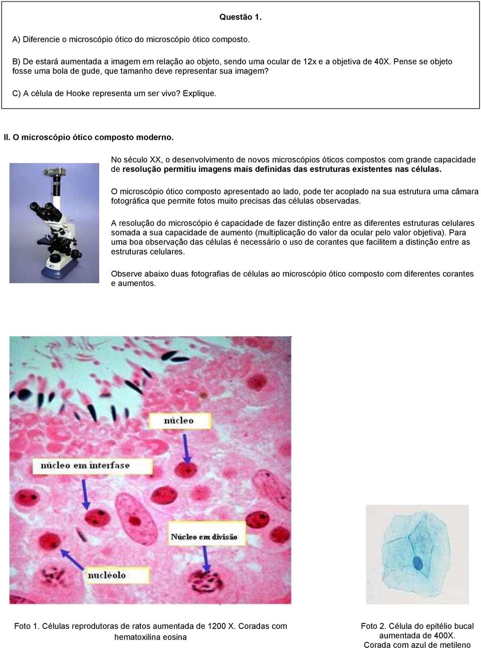 No século XX, o desenvolvimento de novos microscópios óticos compostos com grande capacidade de resolução permitiu imagens mais definidas das estruturas existentes nas células.