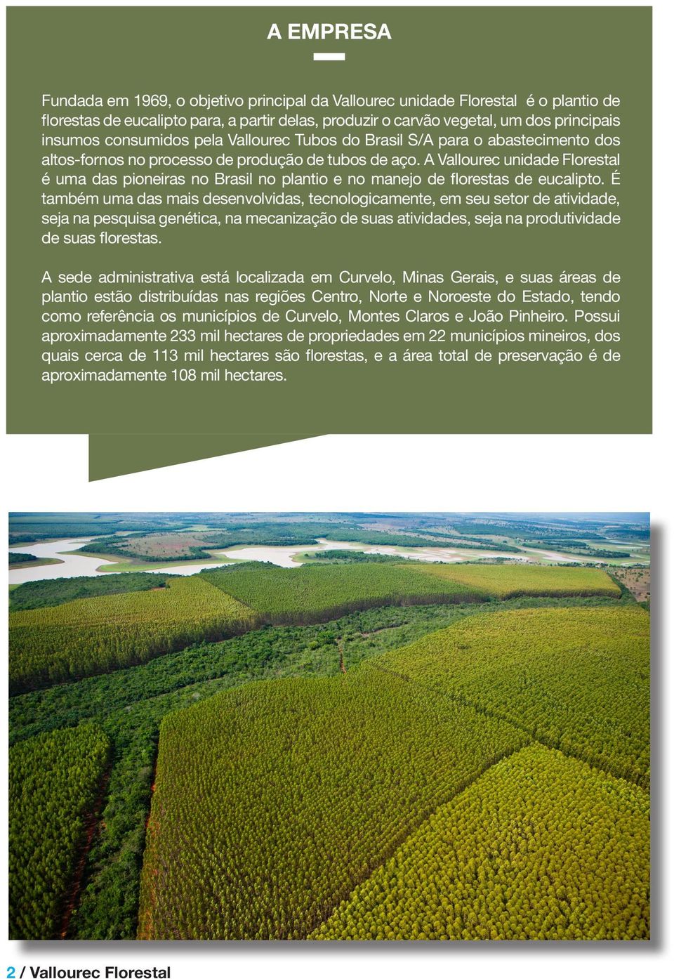 A Vallourec unidade Florestal é uma das pioneiras no Brasil no plantio e no manejo de florestas de eucalipto.