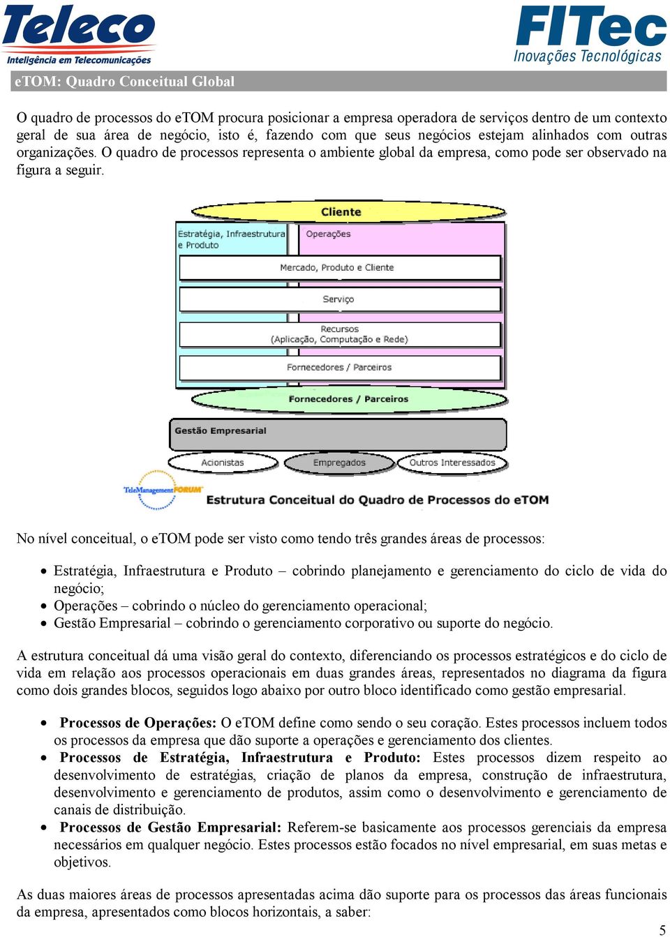 No nível conceitual, o etom pode ser visto como tendo três grandes áreas de processos: Estratégia, Infraestrutura e Produto cobrindo planejamento e gerenciamento do ciclo de vida do negócio;