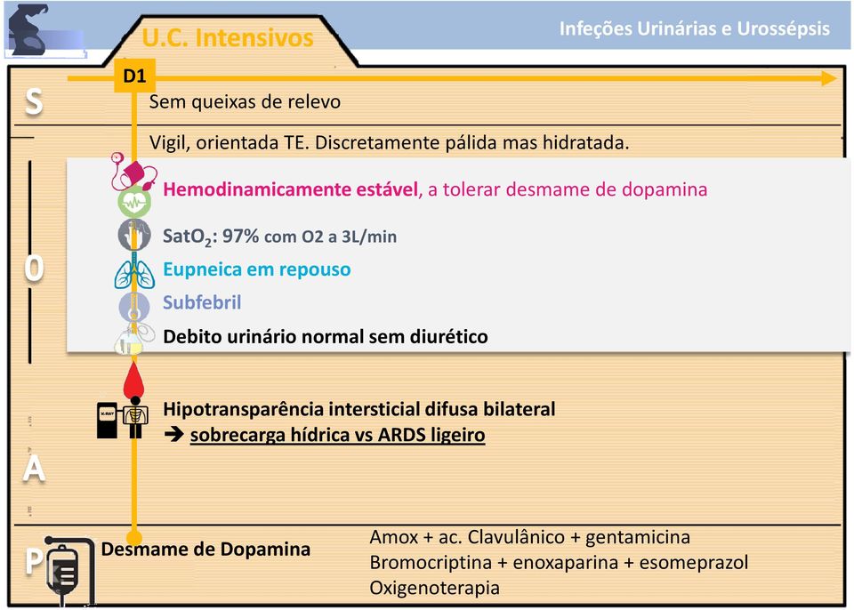 Subfebril Debito urinário normal sem diurético Hipotransparênciaintersticialdifusabilateral sobrecarga hídrica