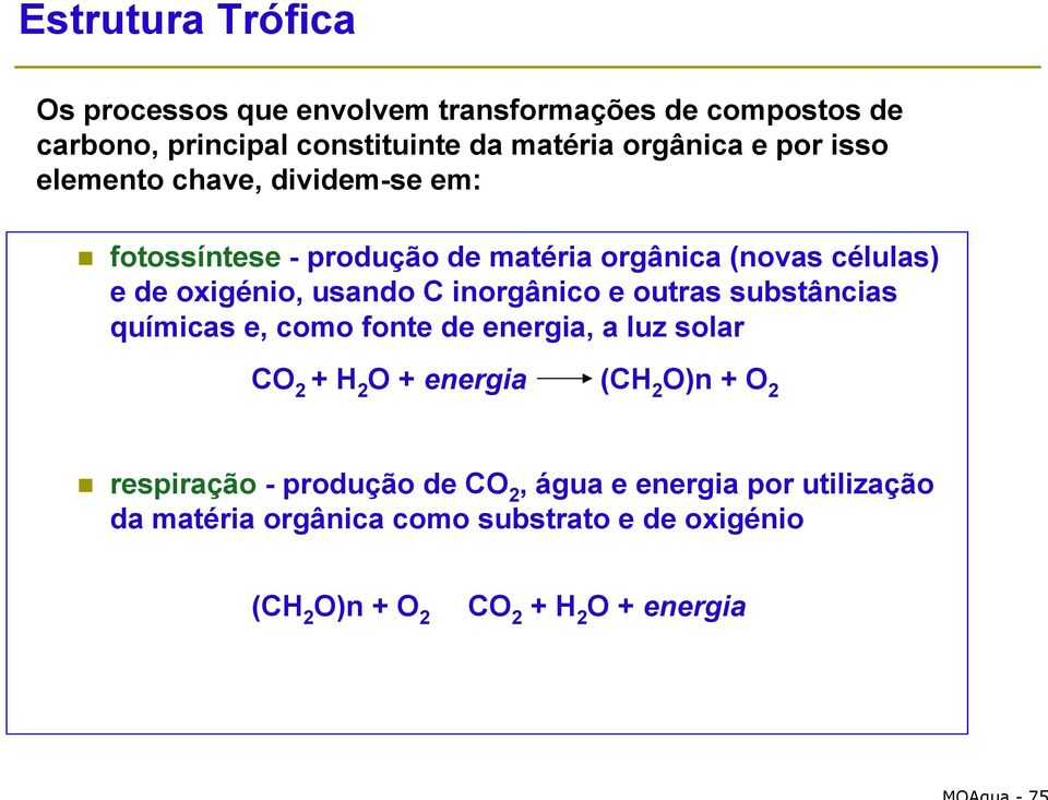 inorgânico e outras substâncias químicas e, como fonte de energia, a luz solar CO 2 + H 2 O + energia (CH 2 O)n + O 2 respiração