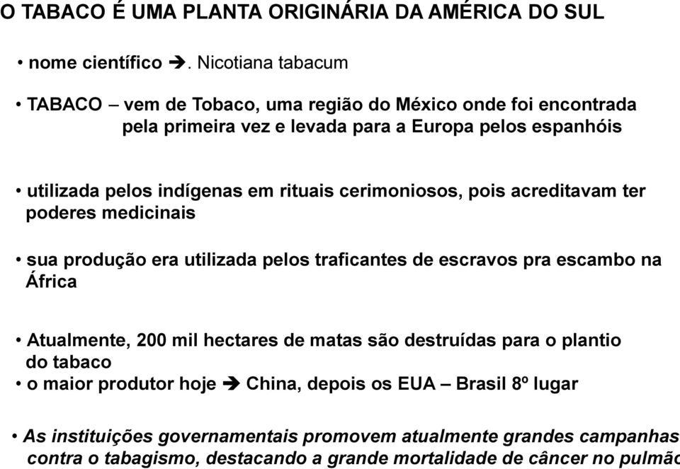 em rituais cerimoniosos, pois acreditavam ter poderes medicinais sua produção era utilizada pelos traficantes de escravos pra escambo na África Atualmente, 200 mil