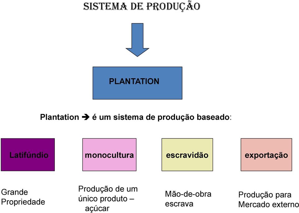 exportação Grande Propriedade Produção de um único