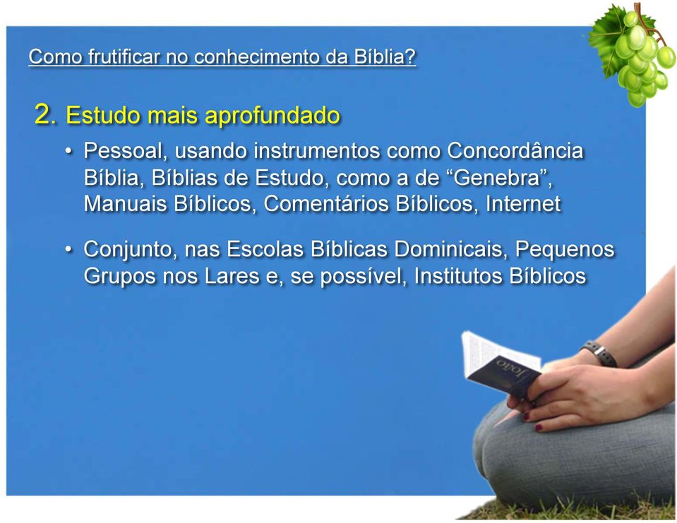 Bíblias de Estudo, como a de Genebra, Manuais Bíblicos, Comentários Bíblicos,