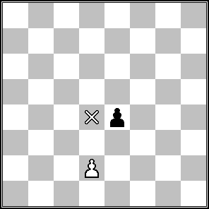 9 ROQUE EN PASSANT É uma jogada realizada somente com os peões, é a única jogada do xadrez que a peça que captura a outra não fica no lugar original onde a peça esta localizada.