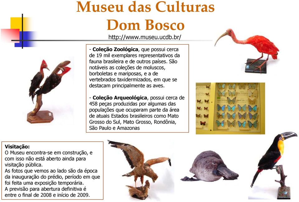 - Coleção Arqueológica, possui cerca de 458 peças produzidas por algumas das populações que ocuparam parte da área de atuais Estados brasileiros como Mato Grosso do Sul, Mato Grosso, Rondônia, São