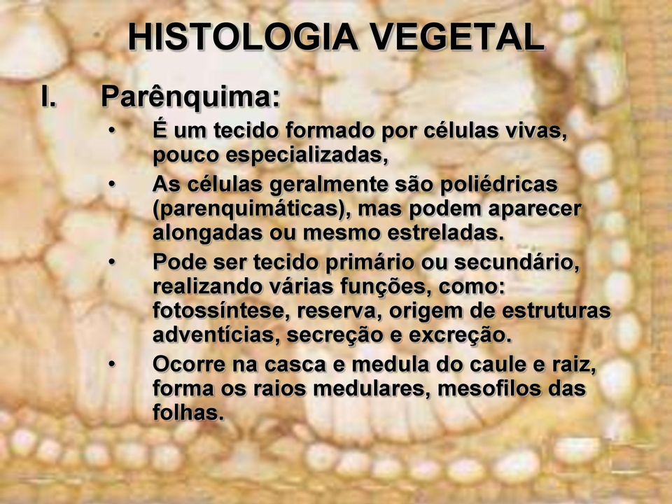 Pode ser tecido primário ou secundário, realizando várias funções, como: fotossíntese, reserva, origem de