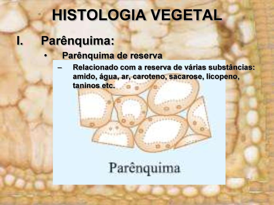 substâncias: amido, água, ar,