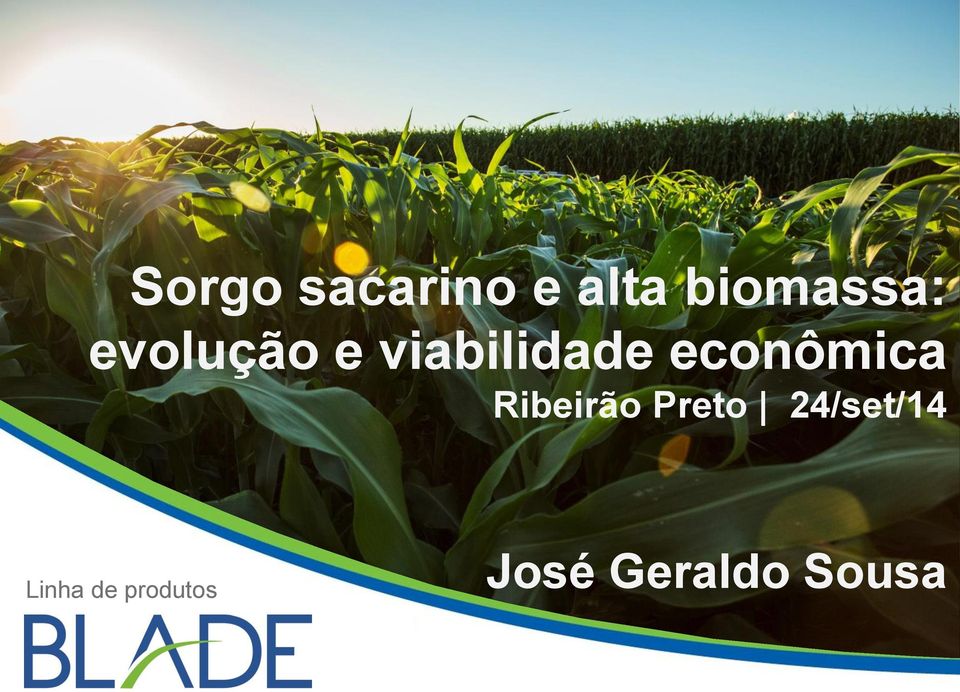 econômica Ribeirão Preto