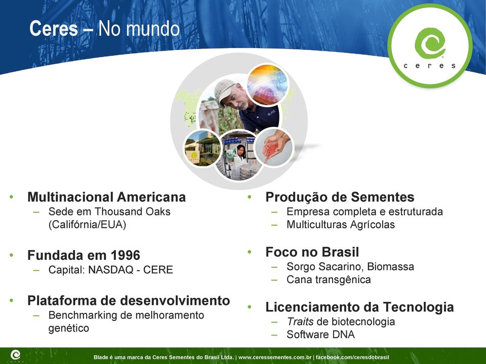 Produção de Sementes Empresa completa e estruturada Multiculturas Agrícolas Foco no Brasil