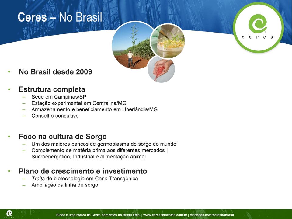 germoplasma de sorgo do mundo Complemento de matéria prima aos diferentes mercados Sucroenergético, Industrial e