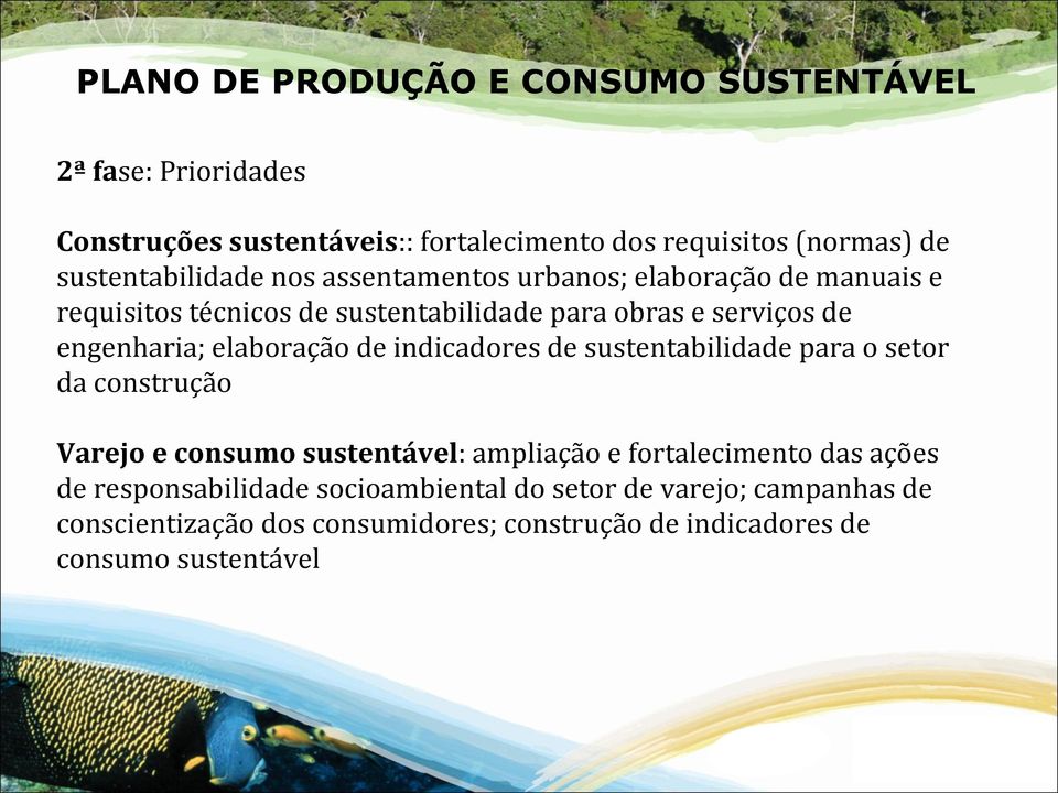 engenharia; elaboração de indicadores de sustentabilidade para o setor da construção Varejo e consumo sustentável: ampliação e fortalecimento