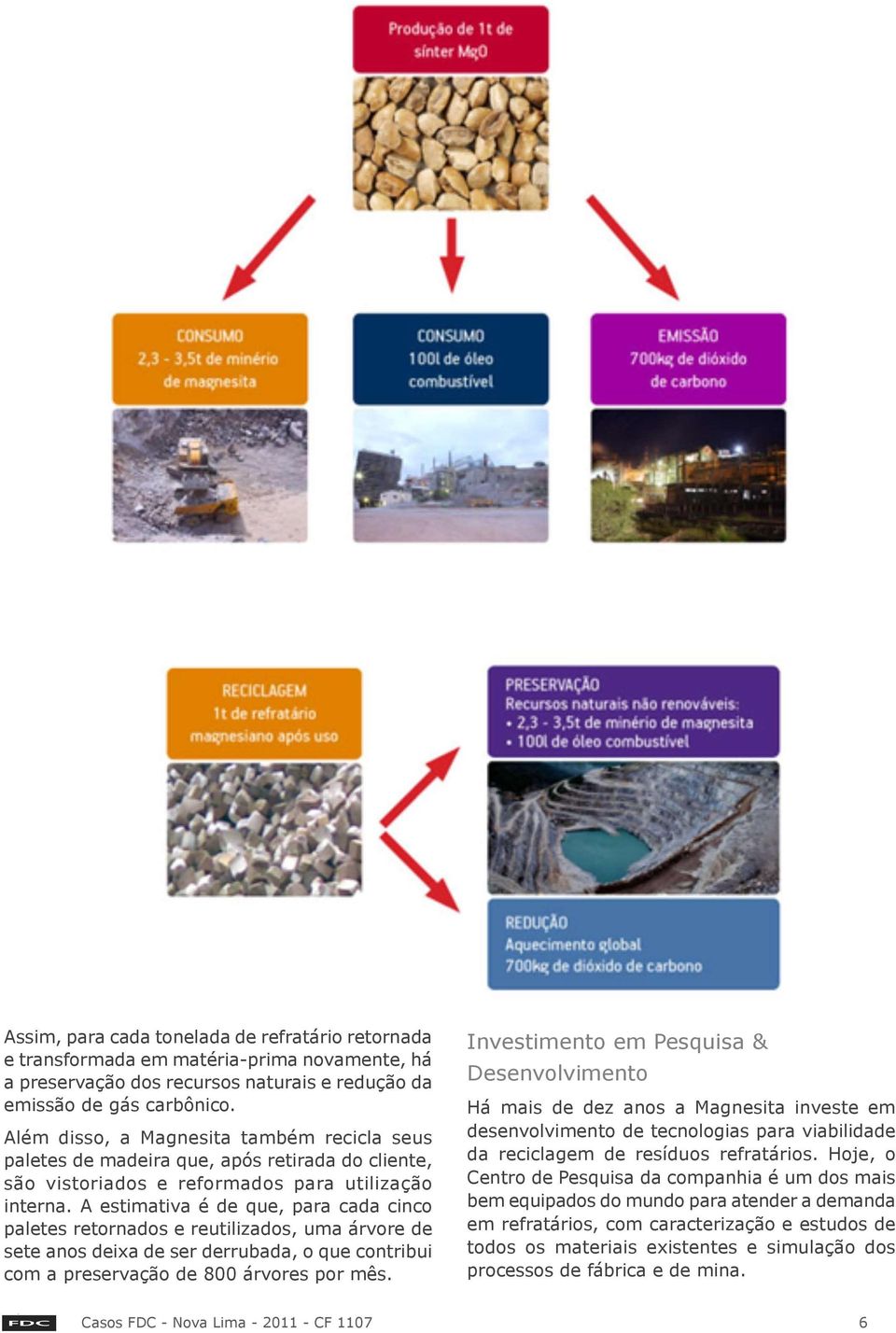 A estimativa é de que, para cada cinco paletes retornados e reutilizados, uma árvore de sete anos deixa de ser derrubada, o que contribui com a preservação de 800 árvores por mês.