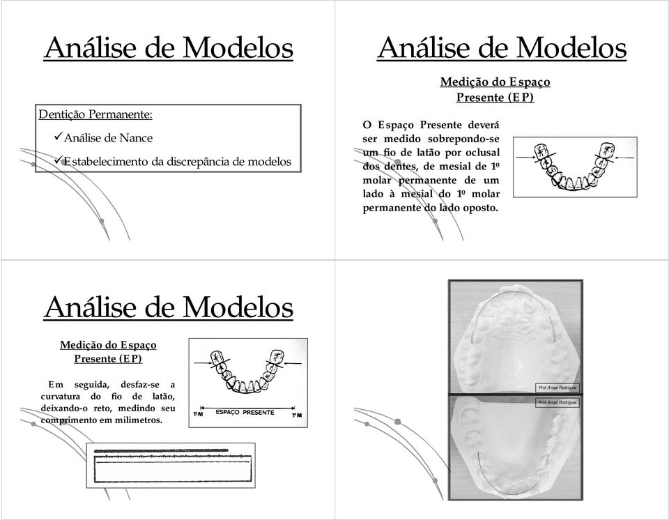 lado à mesial do 1 o molar permanente do lado oposto.