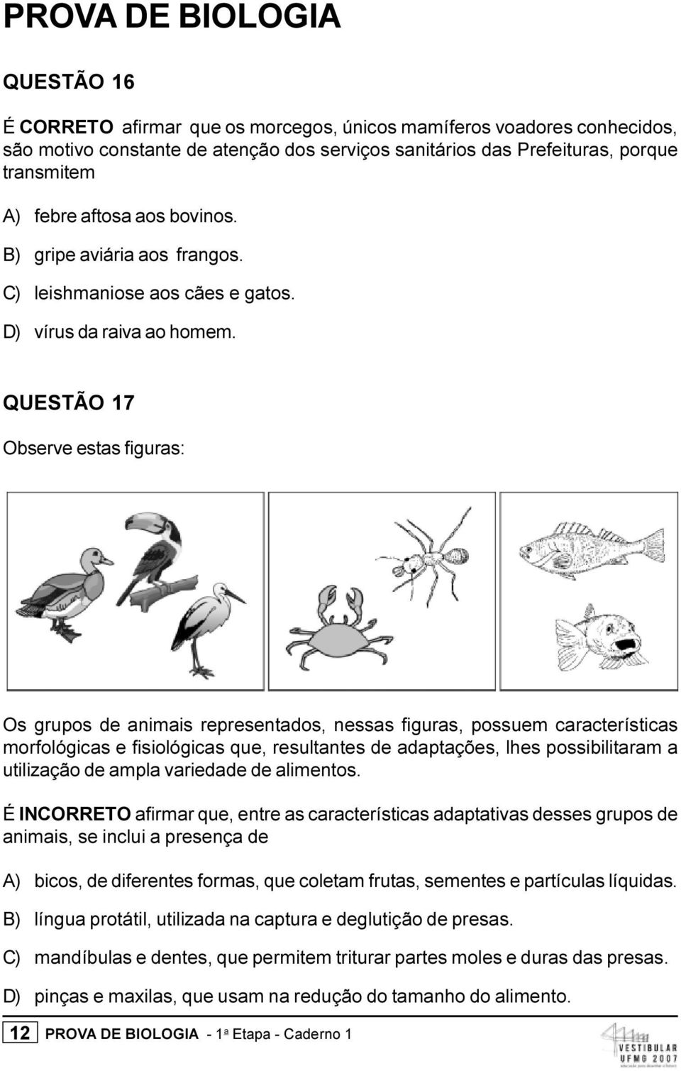 QUESTÃO 17 Observe estas figuras: Os grupos de animais representados, nessas figuras, possuem características morfológicas e fisiológicas que, resultantes de adaptações, lhes possibilitaram a