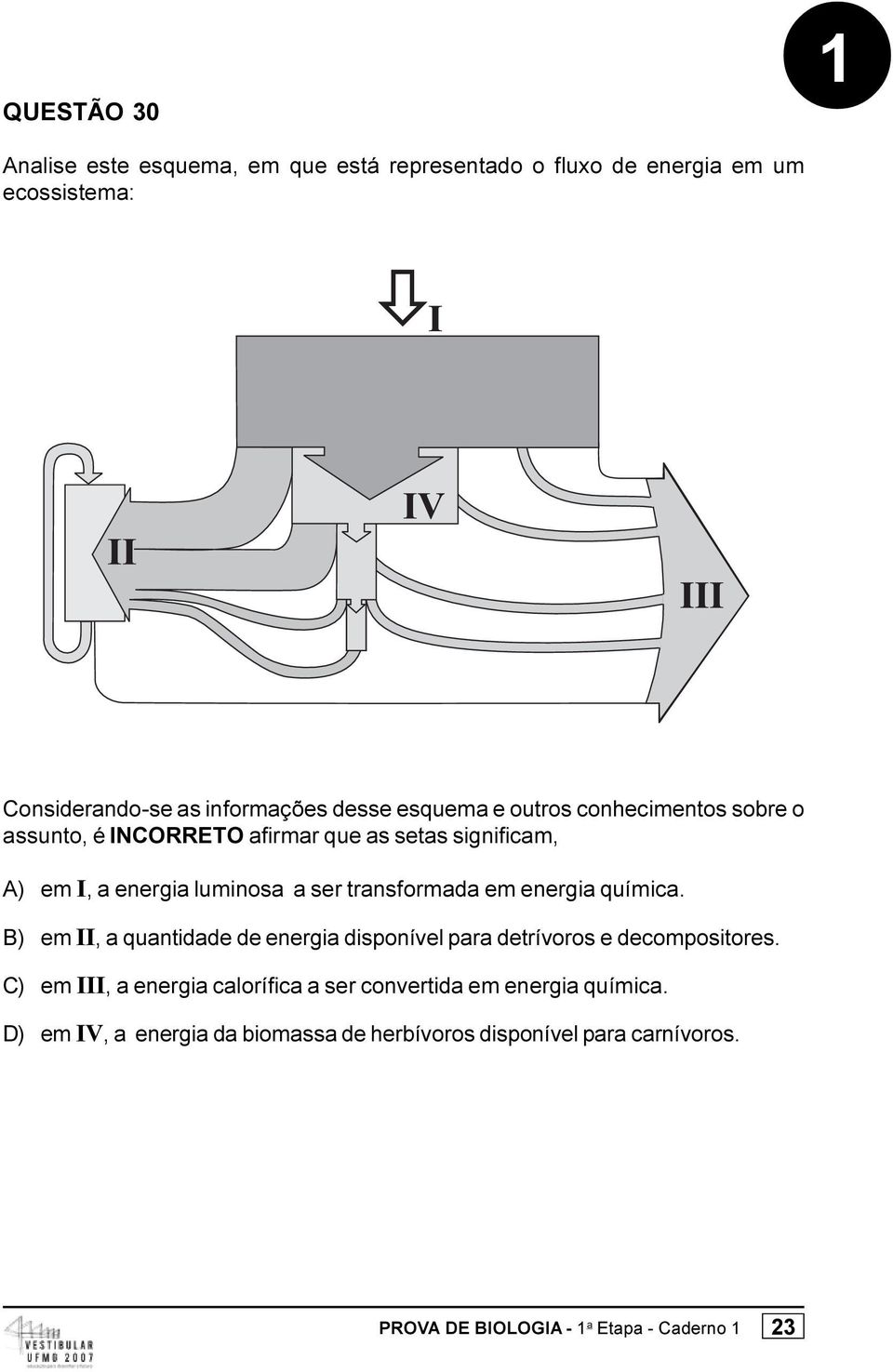 ser transformada em energia química. B) em II, a quantidade de energia disponível para detrívoros e decompositores.