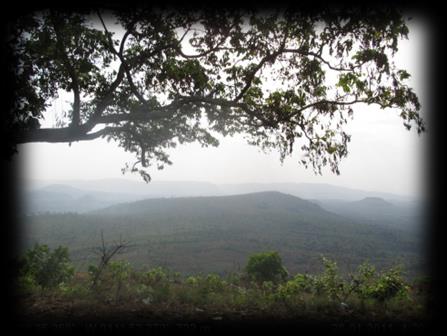 Guine Conakry Projeto I Etanol (cana-de-açúcar) Moagem: 1 milhões de toneladas por ano: Produção de etanol: 80 milhões de litros por ano; Investimento estimado (agrícola e industrial): USD 285