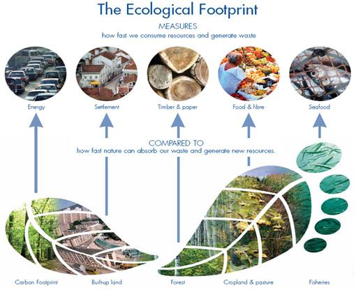 A Pegada Ecológica Avalia a quantidade de área de solo e de água biologicamente produtiva que um individuo, uma cidade, um país ou uma região ou toda a humanidade utiliza, para produzir os recursos