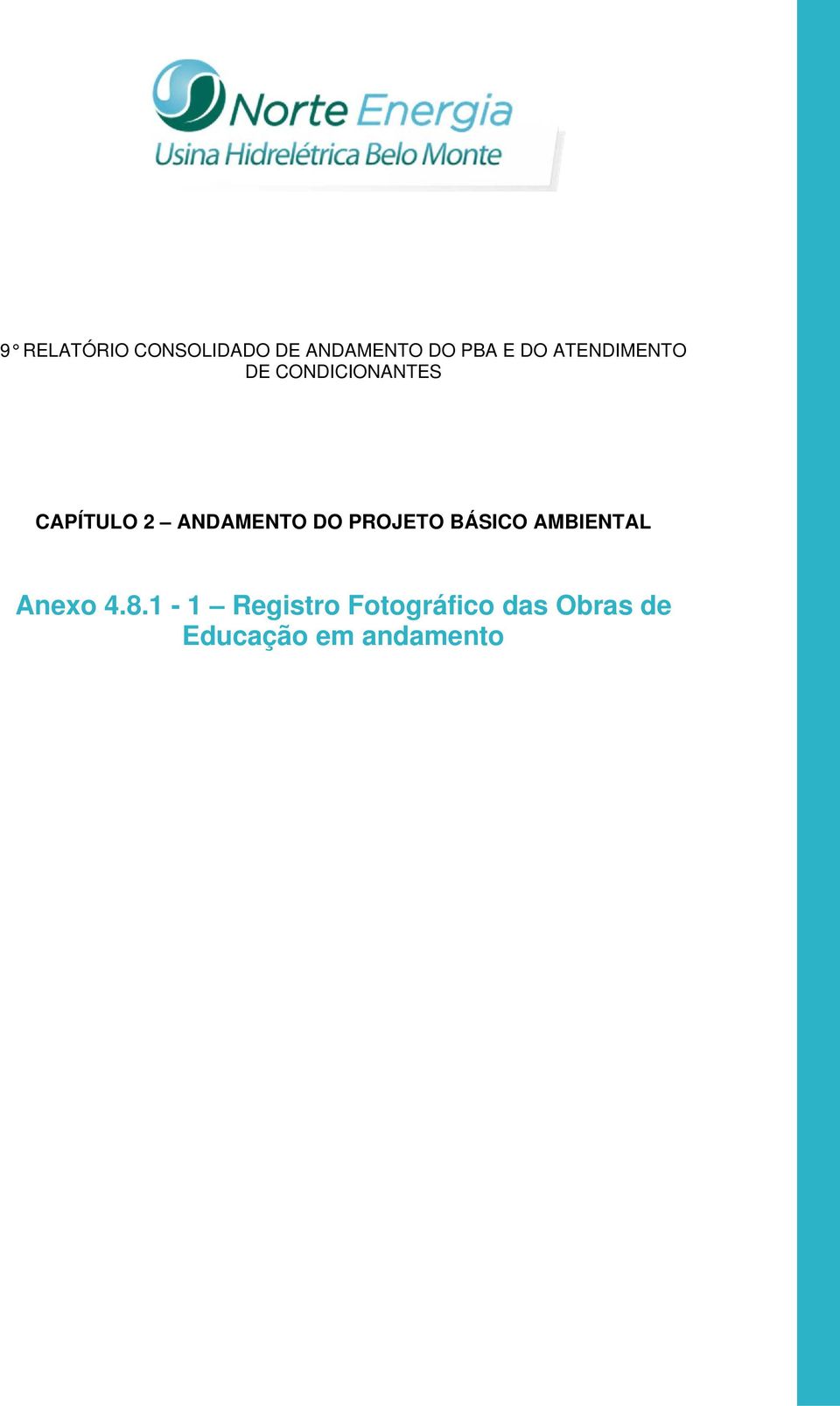 ANDAMENTO DO PROJETO BÁSICO AMBIENTAL Anexo 4.8.