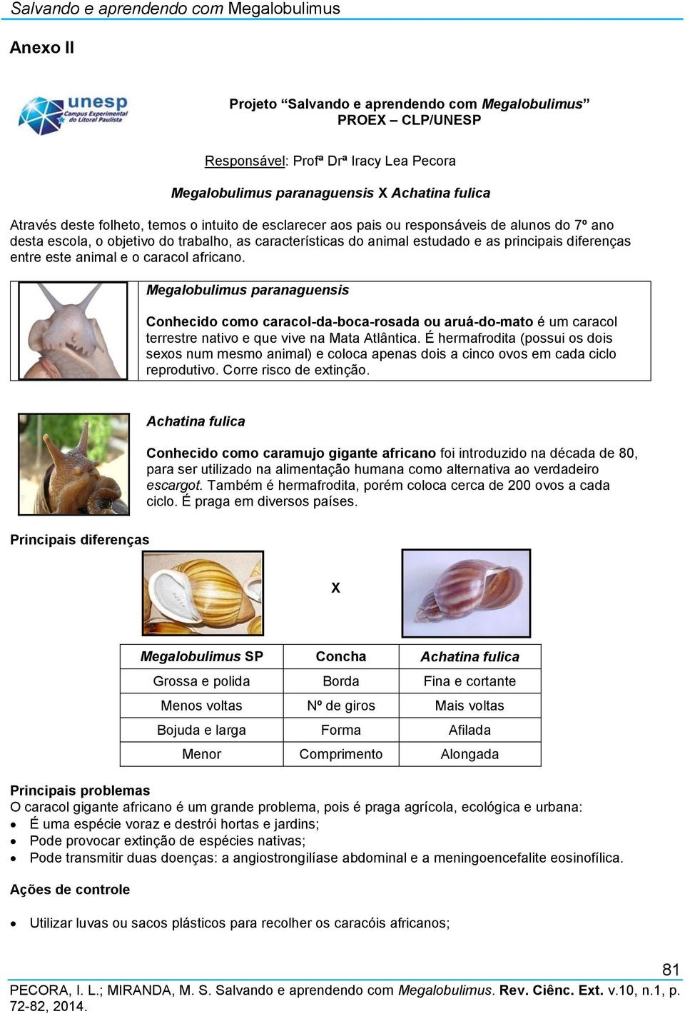 diferenças entre este animal e o caracol africano. Megalobulimus paranaguensis Conhecido como caracol-da-boca-rosada ou aruá-do-mato é um caracol terrestre nativo e que vive na Mata Atlântica.