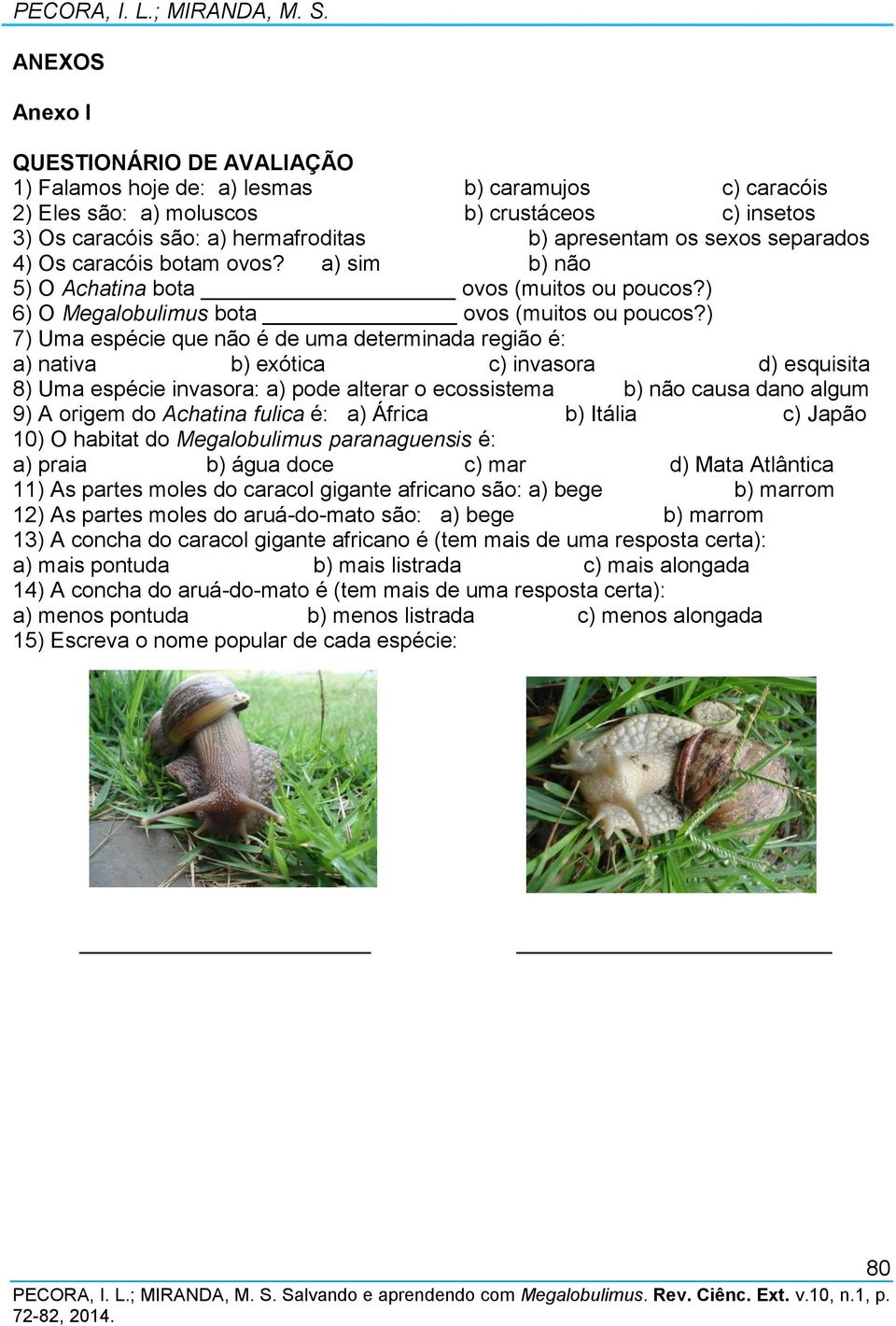 sexos separados 4) Os caracóis botam ovos? a) sim b) não 5) O Achatina bota ovos (muitos ou poucos?) 6) O Megalobulimus bota ovos (muitos ou poucos?