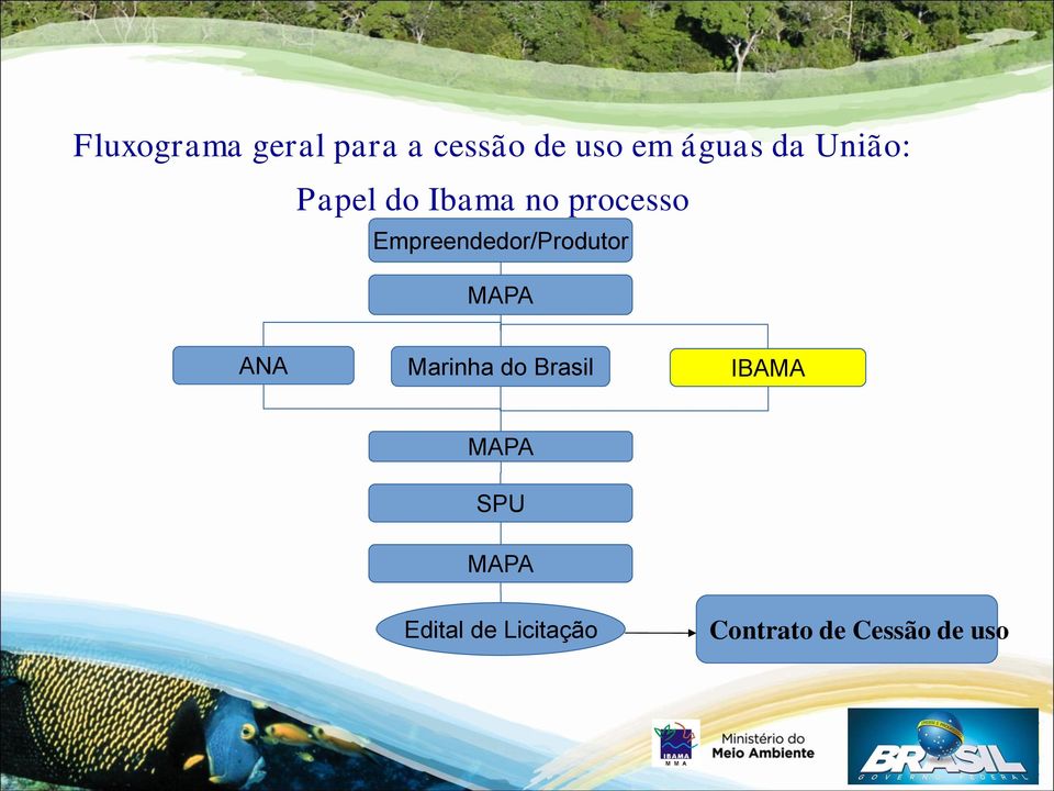 Empreendedor/Produtor MAPA ANA Marinha do Brasil