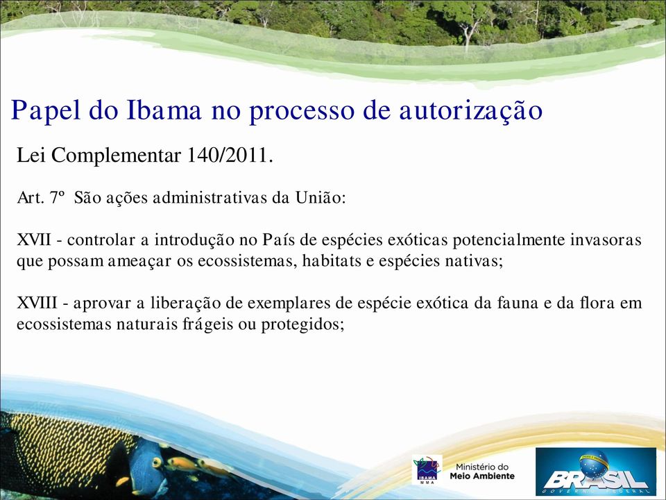 potencialmente invasoras que possam ameaçar os ecossistemas, habitats e espécies nativas; XVIII -