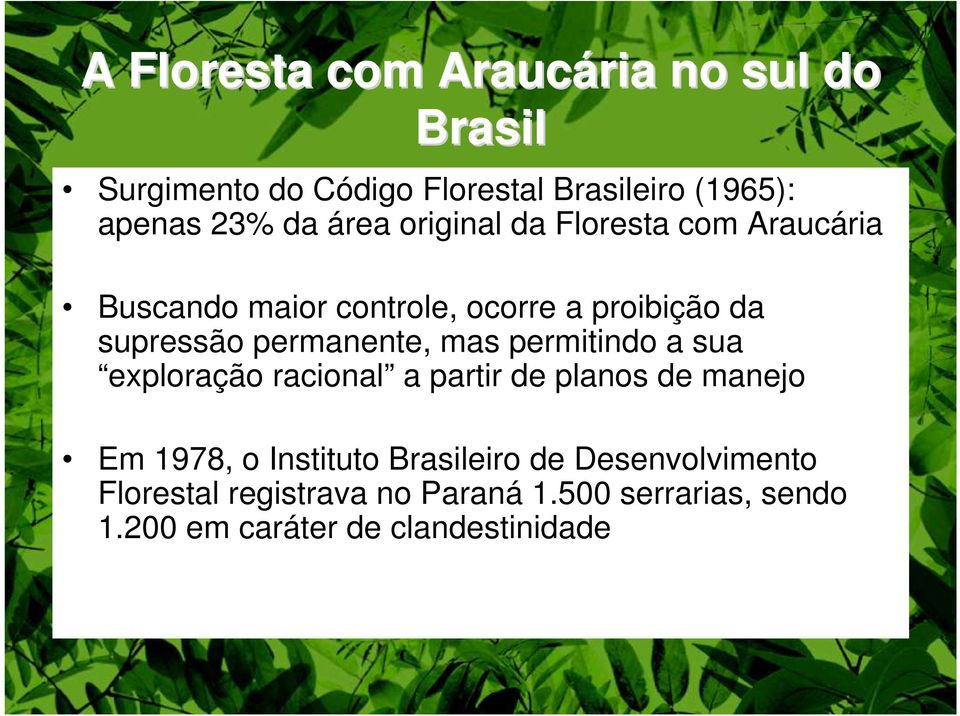 permanente, mas permitindo a sua exploração racional a partir de planos de manejo Em 1978, o Instituto