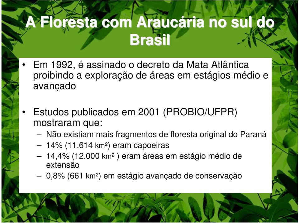 que: Não existiam mais fragmentos de floresta original do Paraná 14% (11.