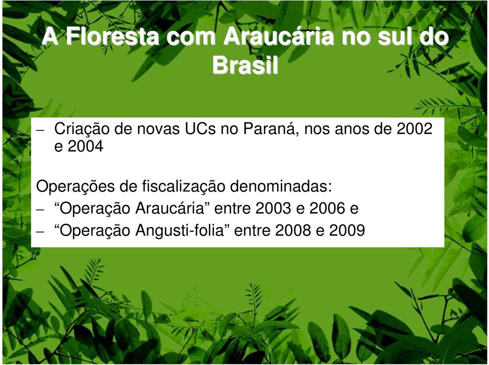 Operações de fiscalização denominadas: Operação