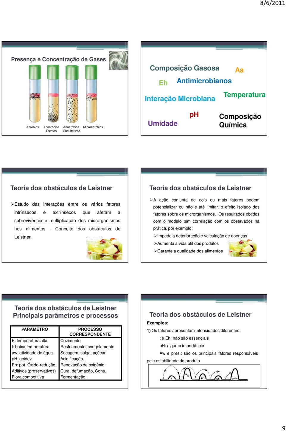 vários fatores intrínsecos e extrínsecos que afetam a sobrevivência e multiplicação dos microrganismos nos alimentos - Conceito dos obstáculos de Leistner.