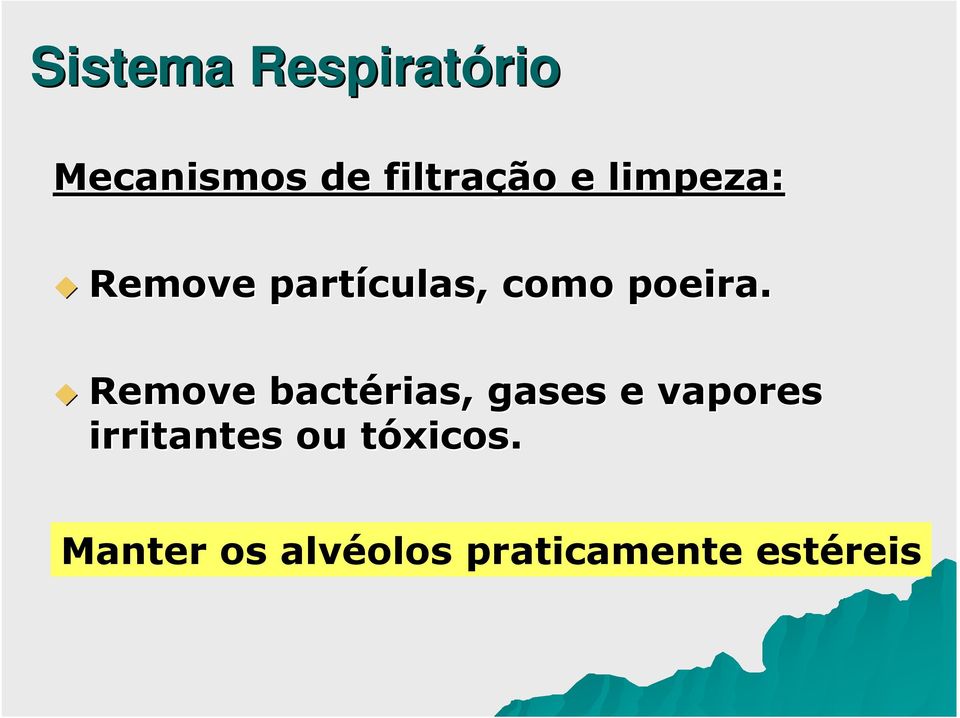 Remove bactérias, gases e vapores irritantes